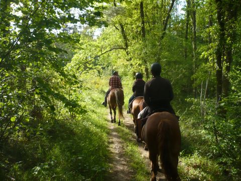 Camping du Lac - Camping Ariège - Image N°25