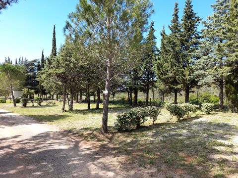 Camping Le Pinada - Camping Aude - Image N°31