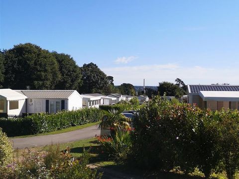 Camping Kerscolper  - Camping Finistère - Image N°25