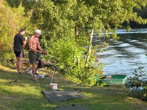 Camping Les Catalpas - Camping Lot-et-Garonne - Image N°2