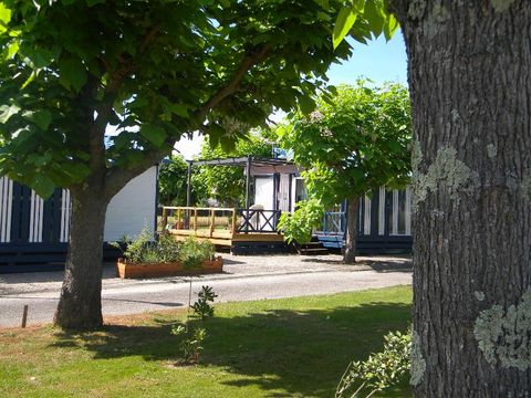 Camping Les Catalpas - Camping Lot-et-Garonne - Image N°34