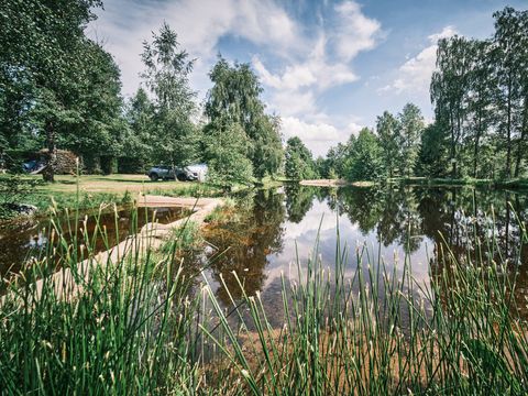 Flower Camping La Steniole - Camping Vosges - Image N°57