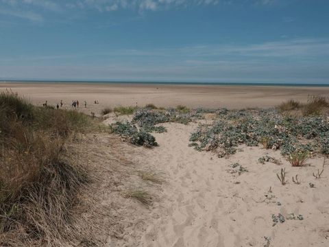 Camping des Dunes - Camping North - Image N°24