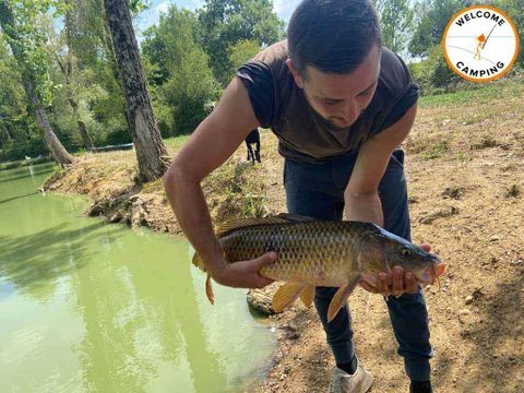 Camping Des Etangs - Camping Tarn-et-Garonne - Image N°36