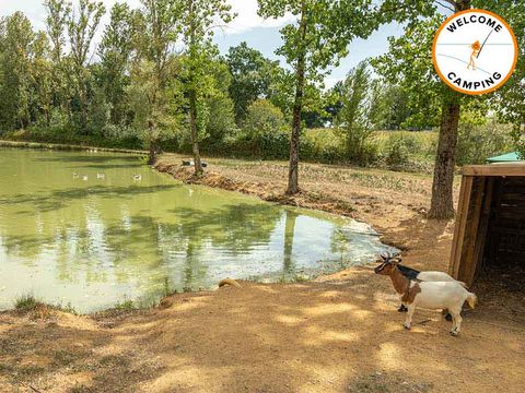 Camping Des Etangs - Camping Tarn-et-Garonne - Image N°30