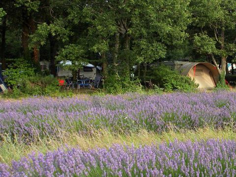 Flower Camping Les Truffières - Camping Drome - Image N°56