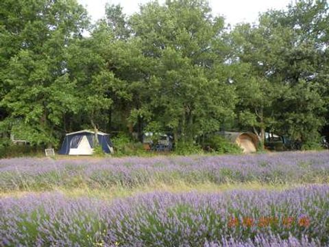 Flower Camping Les Truffières - Camping Drome - Image N°54