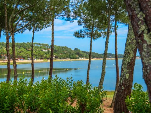 Résidence Plage Centrale - Camping Landes - Image N°17