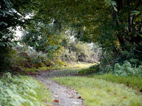 Camping de La Vertonne - Camping Vendée - Image N°19