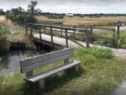 Camping Ile aux Oiseaux - Camping Vendée - Image N°17