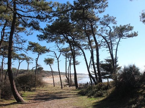 Camping Parfums d'Eté - Camping Vendée - Image N°83