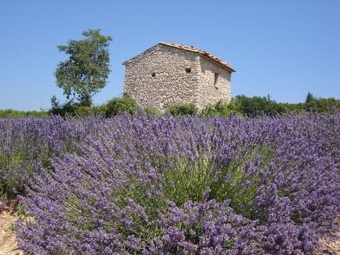 Camping La Sorguette - Camping Vaucluse - Image N°23