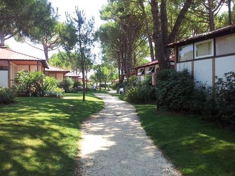 Jesolo Mare Camping Village - Camping Venise - Image N°21