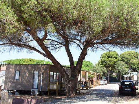 Camping Tikayan le Méditerranée - Camping Var - Image N°3