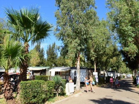 Camping Tikayan Les Palmiers  - Camping Var - Image N°23