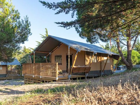 Camping Sandaya La Bosse - île de Noirmoutier  - Camping Vendée - Image N°2