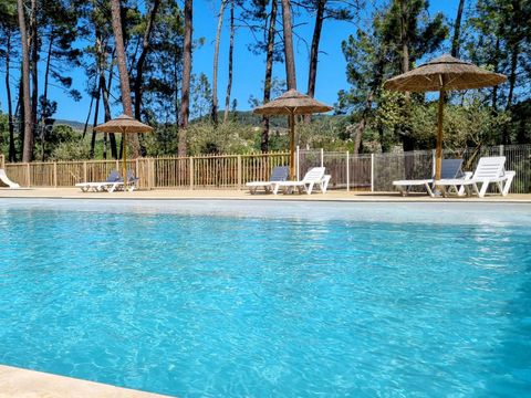 Camping Paradis - Le Bois Simonet - Camping Ardèche - Afbeelding N°2