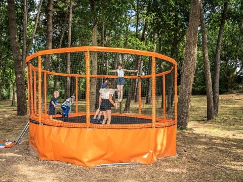 Camping Les Ajoncs d'Or - Camping Loire-Atlantique - Image N°9