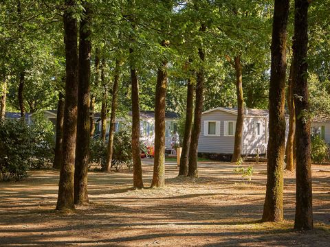 Camping Coeur de Vendée - Camping Vendée - Image N°36