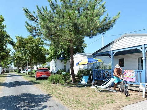 Camping Le Pavillon Bleu  - Camping Vendée - Image N°18