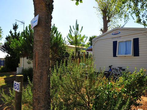 Camping Le Pavillon Bleu  - Camping Vendée - Image N°19