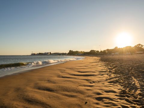 Camping Le Bellevue - Camping Vendée - Image N°17