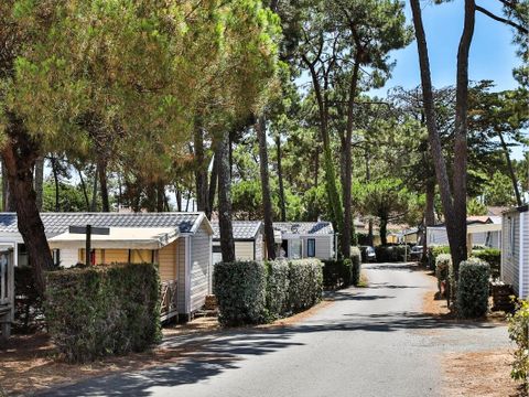 Camping maeva Club Les Préveils - Camping Vendée