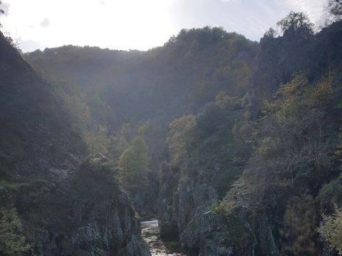 Camping les Rives d'Auzon - Camping Ardèche - Image N°51