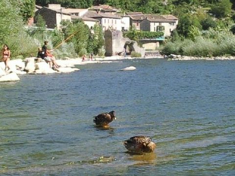 Camping les Rives d'Auzon - Camping Ardèche - Image N°53