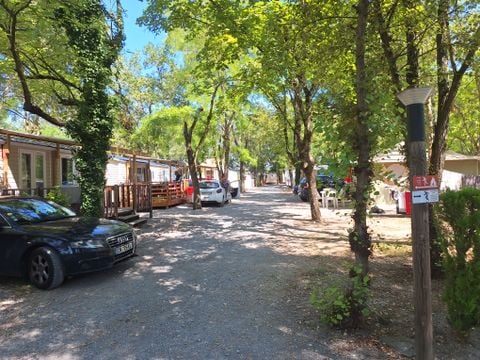 Camping les Rives d'Auzon - Camping Ardèche - Image N°68