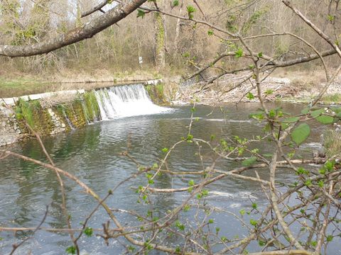 Camping les Rives d'Auzon - Camping Ardèche - Image N°55