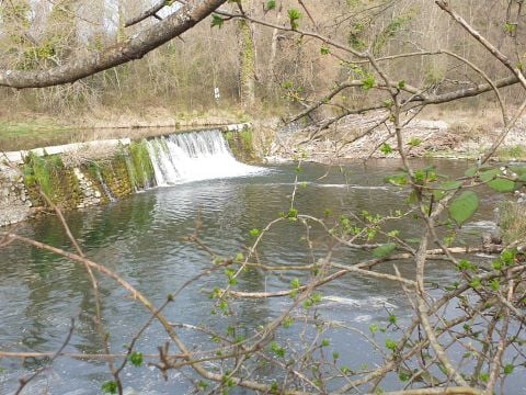 Camping les Rives d'Auzon - Camping Ardèche - Image N°21