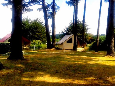 TENTE 5 personnes - Eco Lodges SANS SANITAIRE