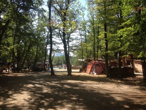 Camping L'Ermitage du Grand Bois - Camping Drôme - Image N°3