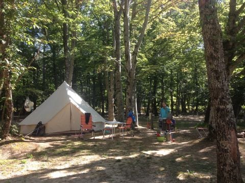 Camping L'Ermitage du Grand Bois - Camping Drôme - Image N°2