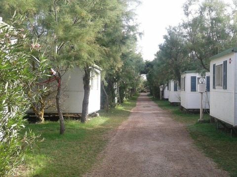 Camping Village Torre Rinalda - Camping Lecce - Image N°26