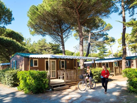 FLOWER Camping Tamarins Plage - Camping Charente-Maritime - Image N°4