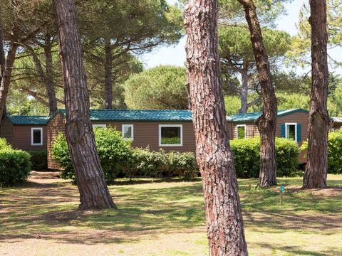 FLOWER Camping Tamarins Plage - Camping Charente-Maritime - Image N°10