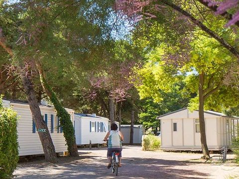 Tour Opérateurs et particuliers sur Camping Le Suroit - Camping Charente-Maritime - Image N°14