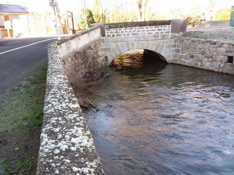 Camping Le Pont d'Allagnon - Camping Haute-Loire - Image N°55