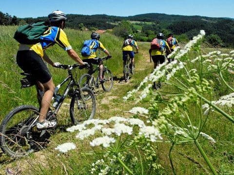 Camping Le Pont d'Allagnon - Camping Haute-Loire - Image N°15