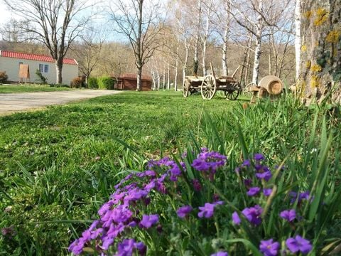 Camping Le Pont d'Allagnon - Camping Haute-Loire - Image N°29