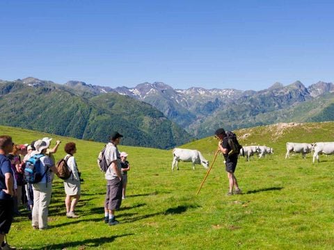 Complexe des Oustalous - Camping Ariège - Image N°34