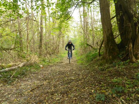 Complexe des Oustalous - Camping Ariège - Image N°6