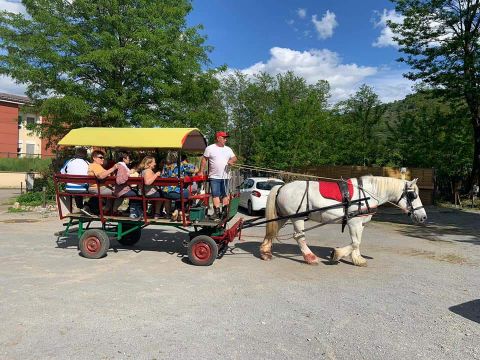 Camping Castanhada - Camping Ardeche - Image N°2