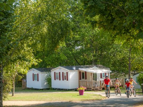 Camping Le Mas  - Camping Dordogne - Image N°18