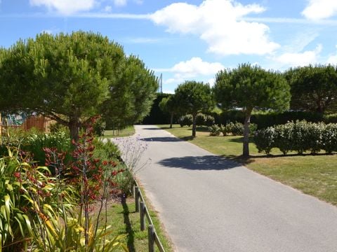 Camping Le Bel Air  - Camping Vendée - Image N°45