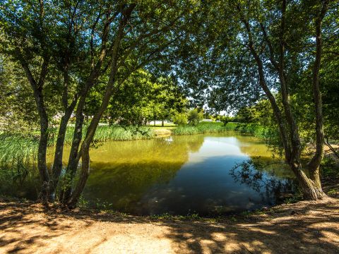 Camping Club Le Trianon - Camping Vendée - Image N°33