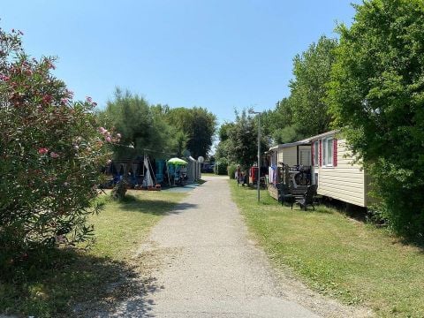 Camping Vigna Sul Mar - Camping Ferrare - Image N°18