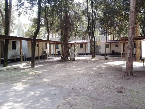 Camping Mare e Pineta - Camping Ferrare - Image N°13